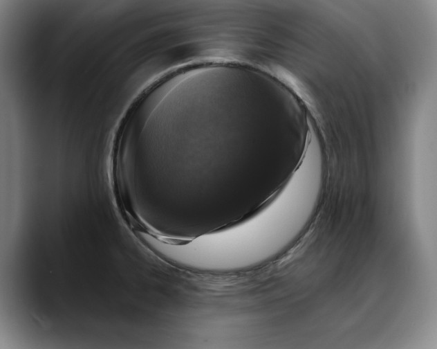 X0000088671334200706141329