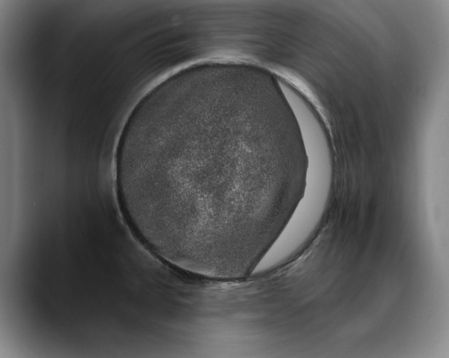 X0000088671335200706141329