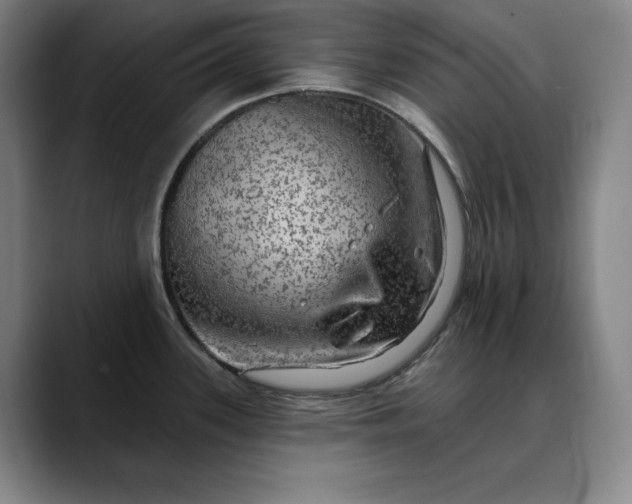 X0000088671339200706141329