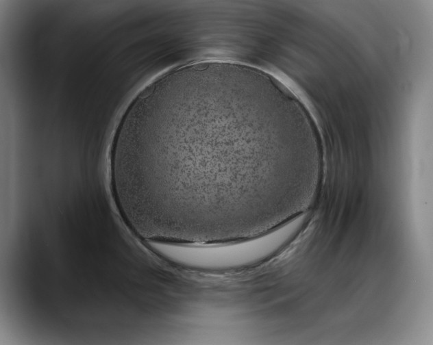X0000088671341200706141329