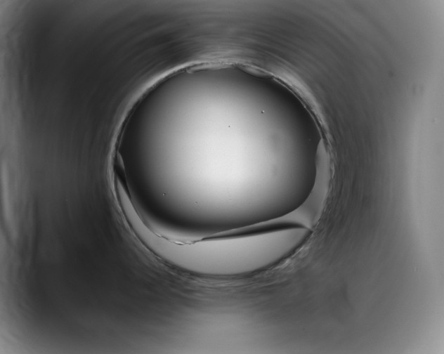 X0000088671344200706141329