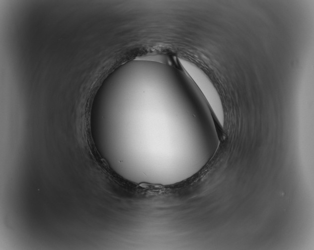 X0000088671345200706141329