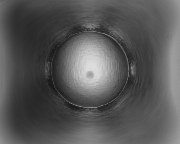X0000088671347200706141329