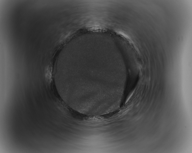 X0000088671348200706141329