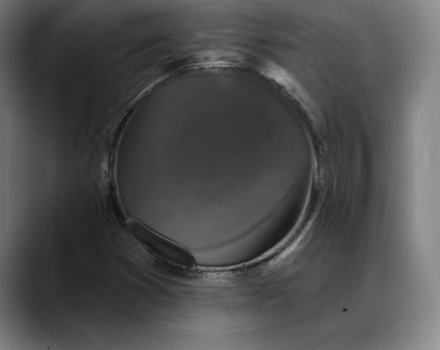 X0000088671353200706141329