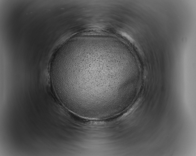 X0000088671354200706141328
