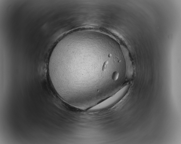 X0000088671355200706141328