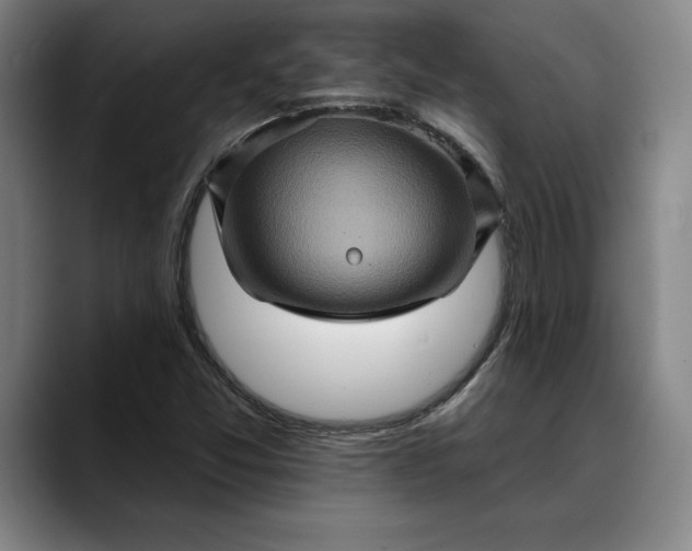 X0000088671357200706141328