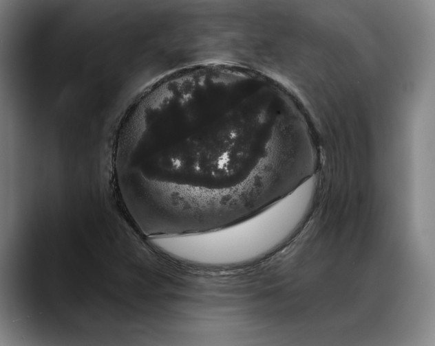 X0000088671359200706141328