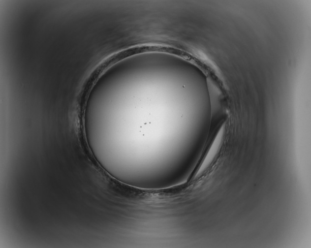X0000088671360200706141328