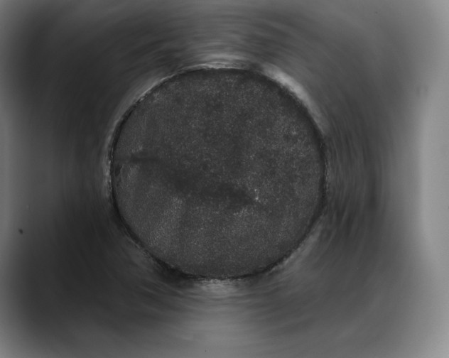 X0000088671362200706141328