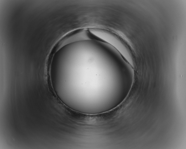 X0000088671364200706141328