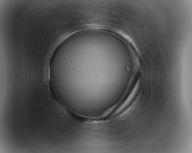 X0000088671365200706141328
