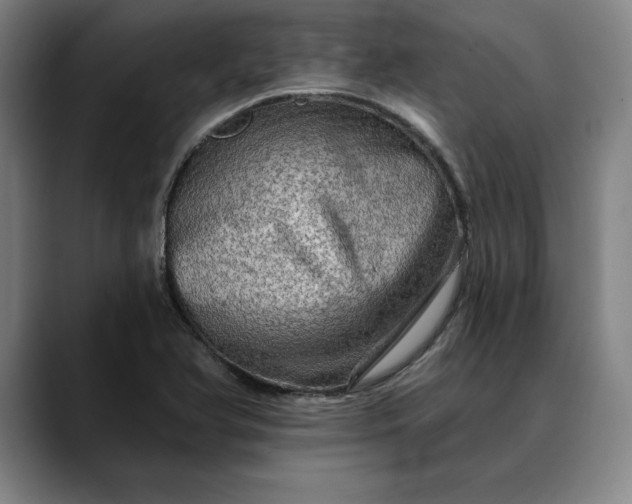 X0000088671366200706141328