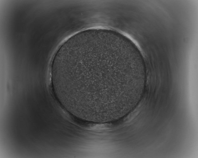X0000088671367200706141328