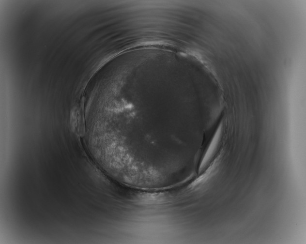 X0000088671369200706141328