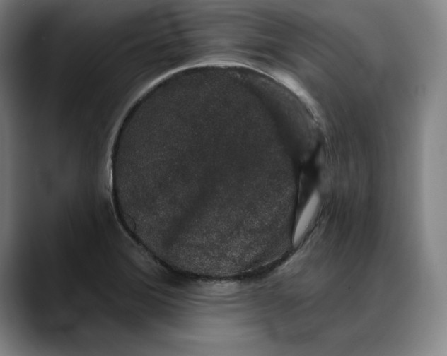 X0000088671372200706141328