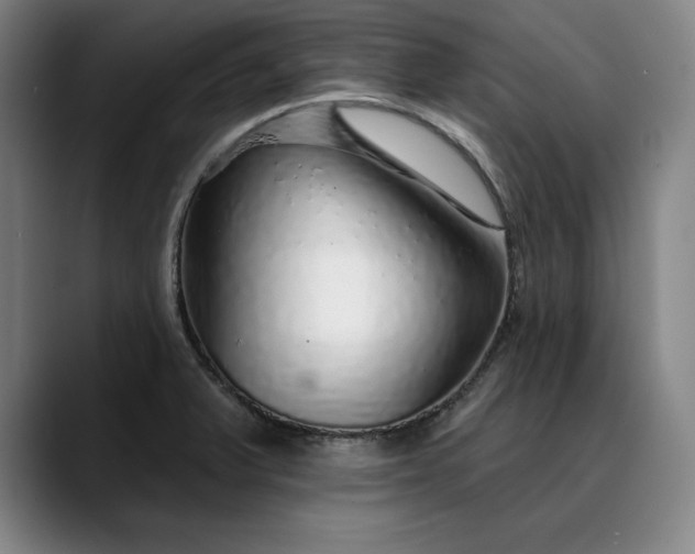 X0000088671375200706141328