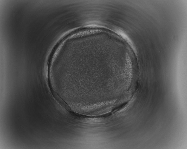 X0000088671376200706141328