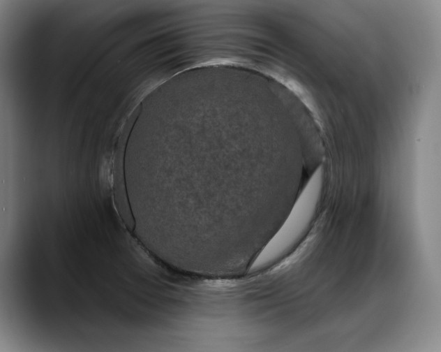 X0000088671377200706141328
