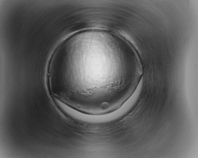 X0000088671379200706141328