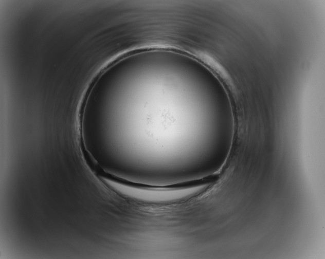 X0000088671380200706141328
