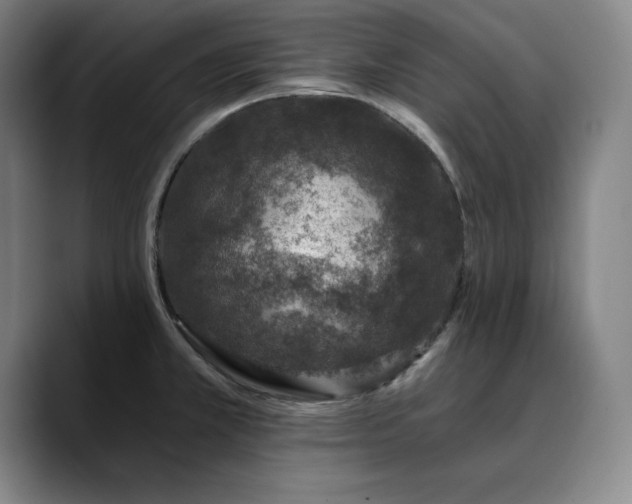X0000088671381200706141328