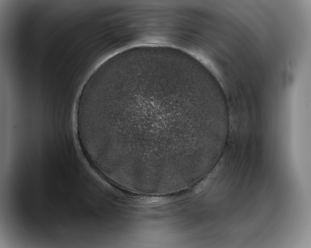 X0000088671382200706141328
