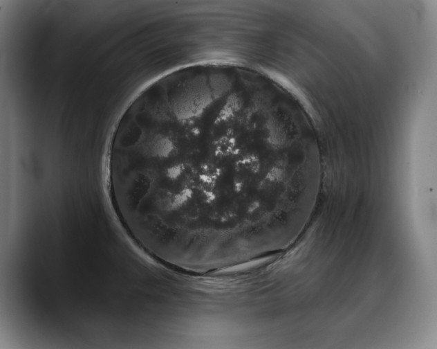 X0000088671383200706141328