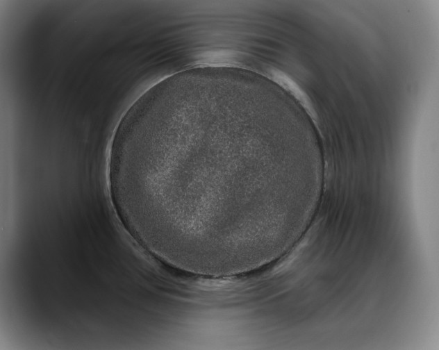 X0000088671386200706141328