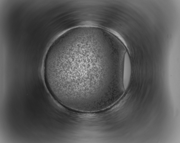 X0000088671387200706141328