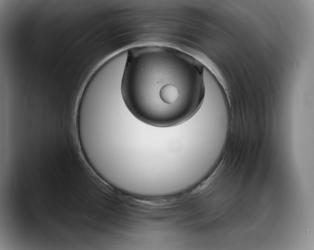 X0000088671388200706141328