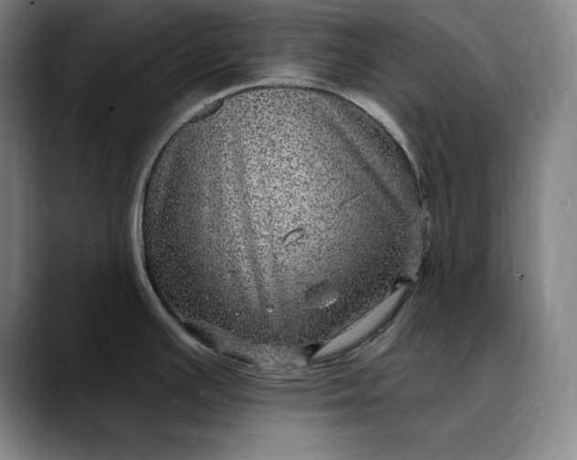 X0000088671391200706141328