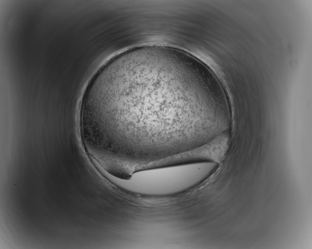 X0000088671392200706141328