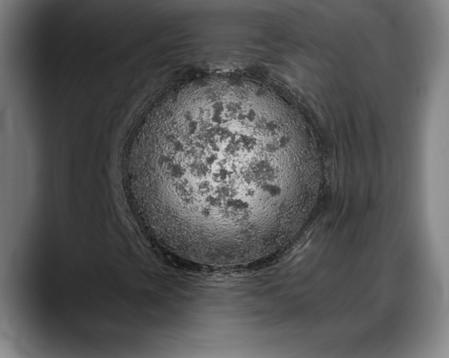 X0000088671393200706141327