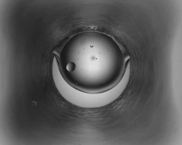 X0000088671394200706141328
