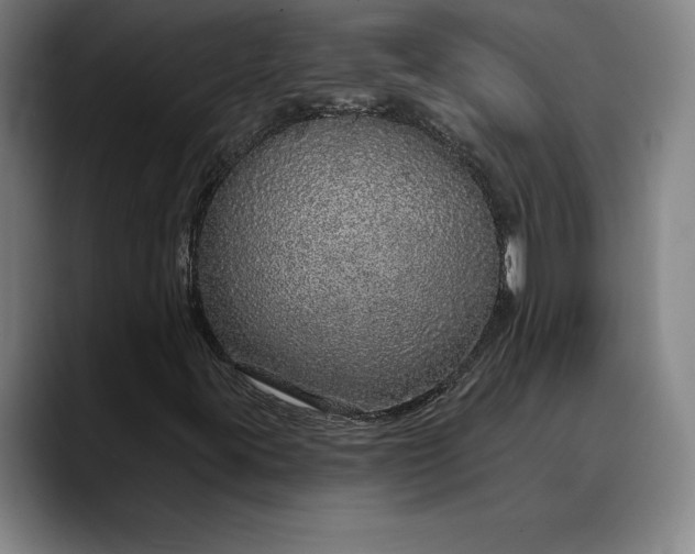 X0000088671395200706141328