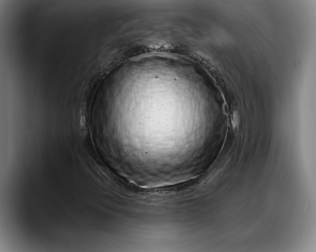 X0000088671396200706141328