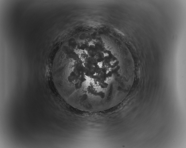 X0000088671397200706141328