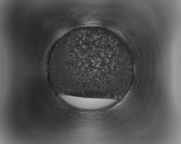 X0000088671405200706141328