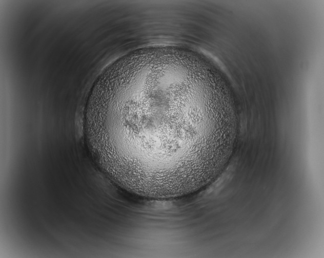 X0000088671409200706141328