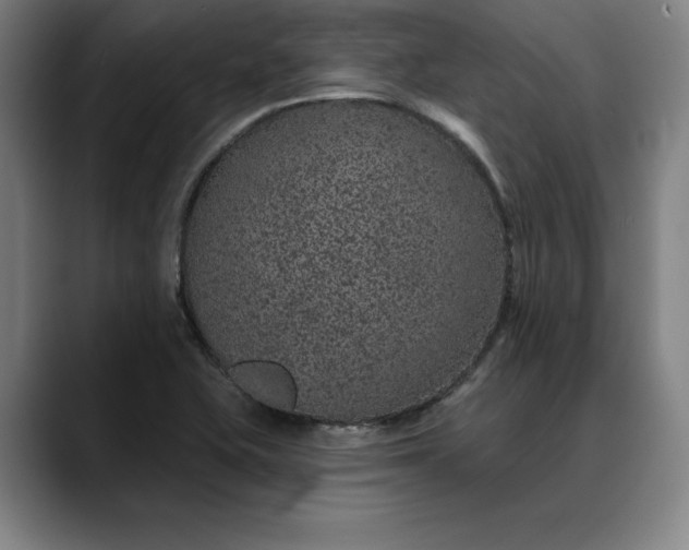 X0000088671415200706141328