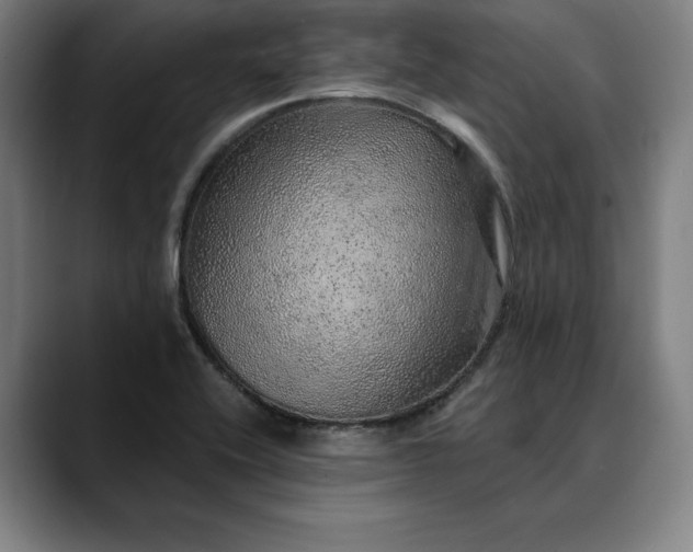 X0000088671416200706141328
