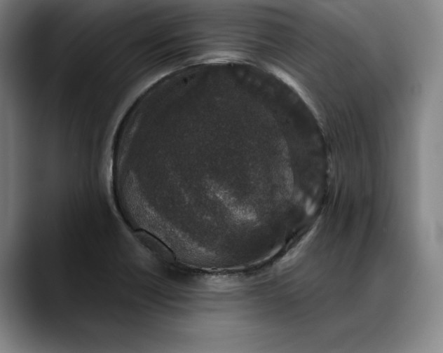 X0000088671418200706141328
