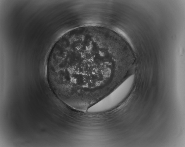 X0000088671419200706141328