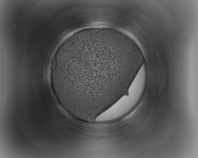 X0000088671421200706141328