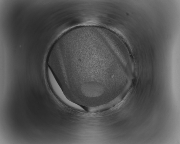 X0000088671422200706141328