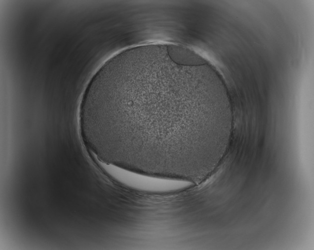 X0000088671423200706141328