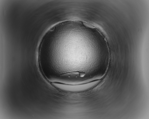 X0000088671424200706141328