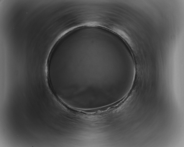 X0000088671428200706141328
